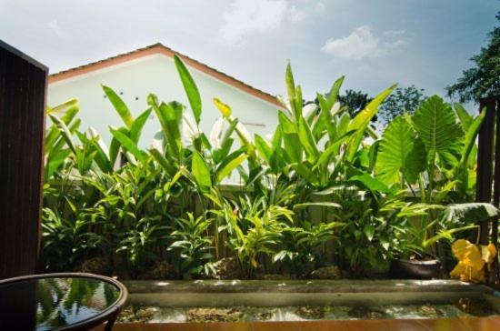 Mydream Guest House Ipoh Eksteriør bilde